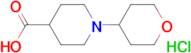 1-(tetrahydro-2H-pyran-4-yl)-4-piperidinecarboxylic acid hydrochloride