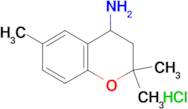(2,2,6-trimethyl-3,4-dihydro-2H-chromen-4-yl)amine hydrochloride