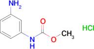 methyl (3-aminophenyl)carbamate hydrochloride