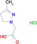 (3-methyl-4,5-dihydro-1H-pyrazol-1-yl)acetic acid hydrochloride