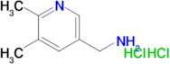 [(5,6-dimethyl-3-pyridinyl)methyl]amine dihydrochloride