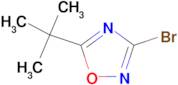 3-bromo-5-tert-butyl-1,2,4-oxadiazole