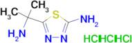 5-(1-amino-1-methylethyl)-1,3,4-thiadiazol-2-amine trihydrochloride