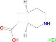 (1R,6S,8R)-3-azabicyclo[4.2.0]octane-8-carboxylic acid hydrochloride