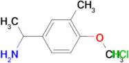 [1-(4-methoxy-3-methylphenyl)ethyl]amine hydrochloride