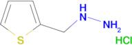 (2-thienylmethyl)hydrazine hydrochloride