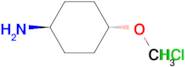 trans-4-methoxycyclohexanamine hydrochloride