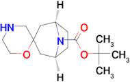 tert-butyl rac-(1R,3r,5S)-8H-spiro[8-azabicyclo[3.2.1]octane-3,2'-[1,4]oxazinane]-8-carboxylate