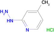 2-hydrazino-4-methylpyridine hydrochloride