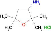 (2,2,5,5-tetramethyltetrahydro-3-furanyl)amine hydrochloride