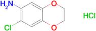 (7-chloro-2,3-dihydro-1,4-benzodioxin-6-yl)amine hydrochloride