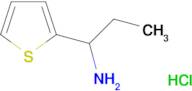 [1-(2-thienyl)propyl]amine hydrochloride