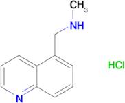 N-methyl-1-(5-quinolinyl)methanamine hydrochloride