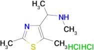 [1-(2,5-dimethyl-1,3-thiazol-4-yl)ethyl]methylamine dihydrochloride