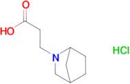 3-(2-azabicyclo[2.2.1]hept-2-yl)propanoic acid hydrochloride