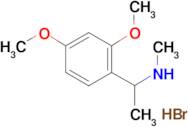 [1-(2,4-dimethoxyphenyl)ethyl]methylamine hydrobromide