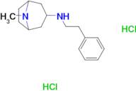 8-methyl-N-(2-phenylethyl)-8-azabicyclo[3.2.1]octan-3-amine dihydrochloride