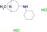 N-cyclohexyl-8-methyl-8-azabicyclo[3.2.1]octan-3-amine dihydrochloride