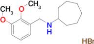 N-(2,3-dimethoxybenzyl)cycloheptanamine hydrobromide