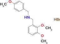 (2,3-dimethoxybenzyl)(4-methoxybenzyl)amine hydrobromide