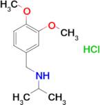 N-(3,4-dimethoxybenzyl)-2-propanamine hydrochloride