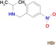 N-(3-nitrobenzyl)-2-propanamine hydrobromide