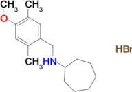 N-(4-methoxy-2,5-dimethylbenzyl)cycloheptanamine hydrobromide