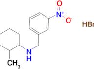 (2-methylcyclohexyl)(3-nitrobenzyl)amine hydrobromide