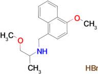 (2-methoxy-1-methylethyl)[(4-methoxy-1-naphthyl)methyl]amine hydrobromide