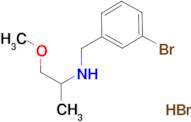 N-(3-bromobenzyl)-1-methoxy-2-propanamine hydrobromide