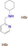 N-(2-pyridinylmethyl)cyclohexanamine dihydrobromide