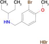 N-(3-bromo-4-methoxybenzyl)-3-pentanamine hydrobromide