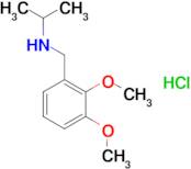 N-(2,3-dimethoxybenzyl)-2-propanamine hydrochloride