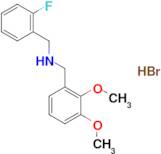 (2,3-dimethoxybenzyl)(2-fluorobenzyl)amine hydrobromide