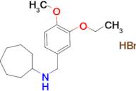 N-(3-ethoxy-4-methoxybenzyl)cycloheptanamine hydrobromide