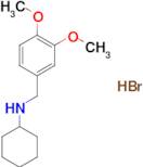 N-(3,4-dimethoxybenzyl)cyclohexanamine hydrobromide