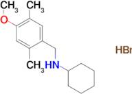 N-(4-methoxy-2,5-dimethylbenzyl)cyclohexanamine hydrobromide