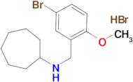 N-(5-bromo-2-methoxybenzyl)cycloheptanamine hydrobromide