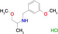 (3-methoxybenzyl)(2-methoxy-1-methylethyl)amine hydrochloride