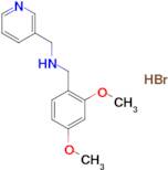 (2,4-dimethoxybenzyl)(3-pyridinylmethyl)amine hydrobromide