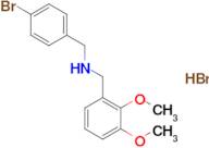 (4-bromobenzyl)(2,3-dimethoxybenzyl)amine hydrobromide