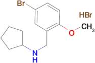 N-(5-bromo-2-methoxybenzyl)cyclopentanamine hydrobromide