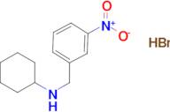 N-(3-nitrobenzyl)cyclohexanamine hydrobromide