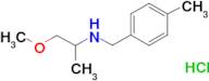 (2-methoxy-1-methylethyl)(4-methylbenzyl)amine hydrochloride