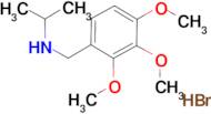 N-(2,3,4-trimethoxybenzyl)-2-propanamine hydrobromide