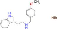 [2-(1H-indol-3-yl)ethyl](4-methoxybenzyl)amine hydrobromide
