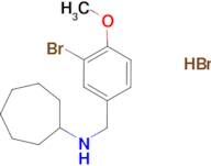 N-(3-bromo-4-methoxybenzyl)cycloheptanamine hydrobromide