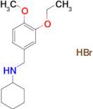 N-(3-ethoxy-4-methoxybenzyl)cyclohexanamine hydrobromide