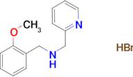 (2-methoxybenzyl)(2-pyridinylmethyl)amine hydrobromide