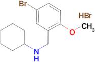 N-(5-bromo-2-methoxybenzyl)cyclohexanamine hydrobromide